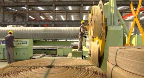 以竹代鋼 中國植物基復合材料如何打造綠色高鐵